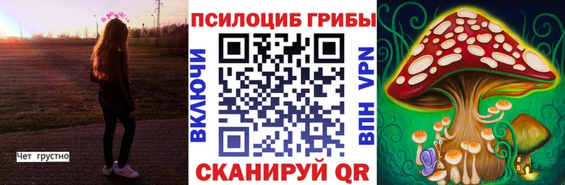 MEGA вход Могоча Галлюциногенные грибы мицелий
